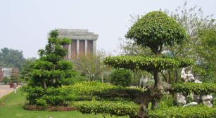 History And Government