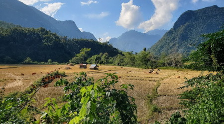 Luang Prabang & the Northern Mountains – 9 days