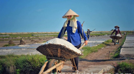  A Day Exploring Xuan Thuy National Park and Bach Long Salt Fields