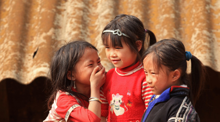 Tout le Vietnam – 24 jours