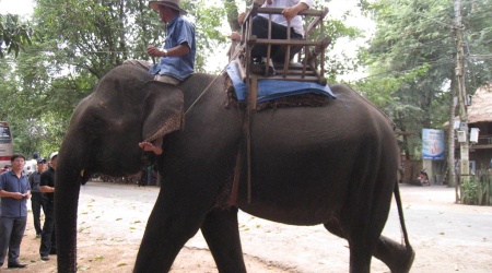 Excursion aux Hauts Plateaux du Centre en 4 jours