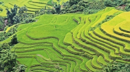 3 days trek in Bac Ha