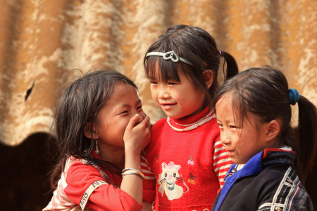 Tout le Vietnam – 24 jours