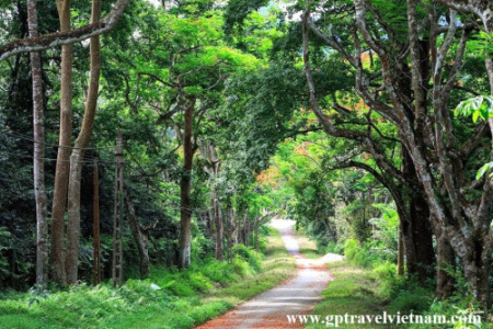 Discover Cuc Phuong National Park