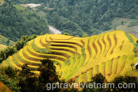  Mu Cang Chai, Land of the Most Beautiful Terraced Rice Fields in Vietnam in 3 Days