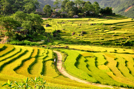 3 jours de randonnée: Don - Kho Muong - Lac - Hieu