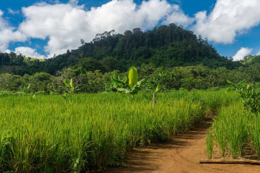 Temples khmers et les terres reculées de Mondolkiri et Ratanakiri 