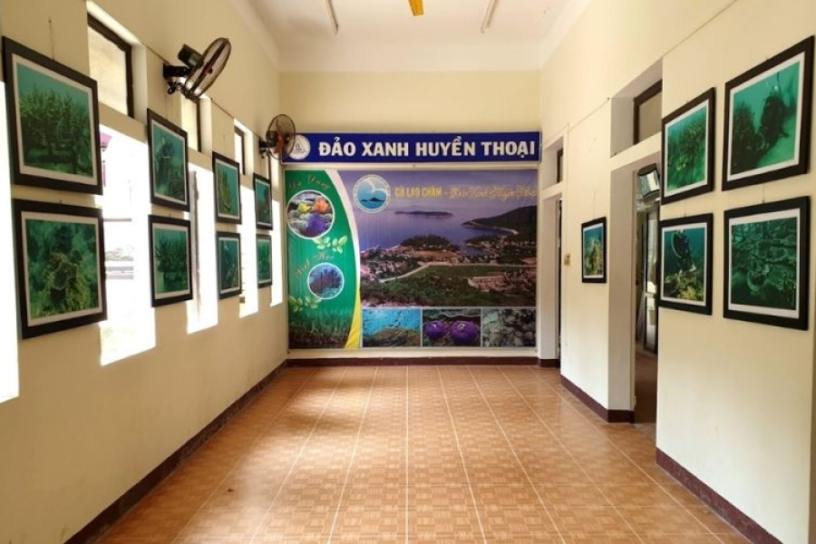  Plongée en apnée en les îles Cham (circuit en groupe) - 01 Jour