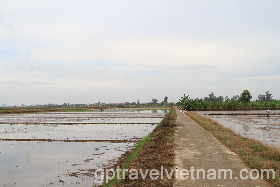 A Day Exploring Xuan Thuy National Park and Bach Long Salt Fields