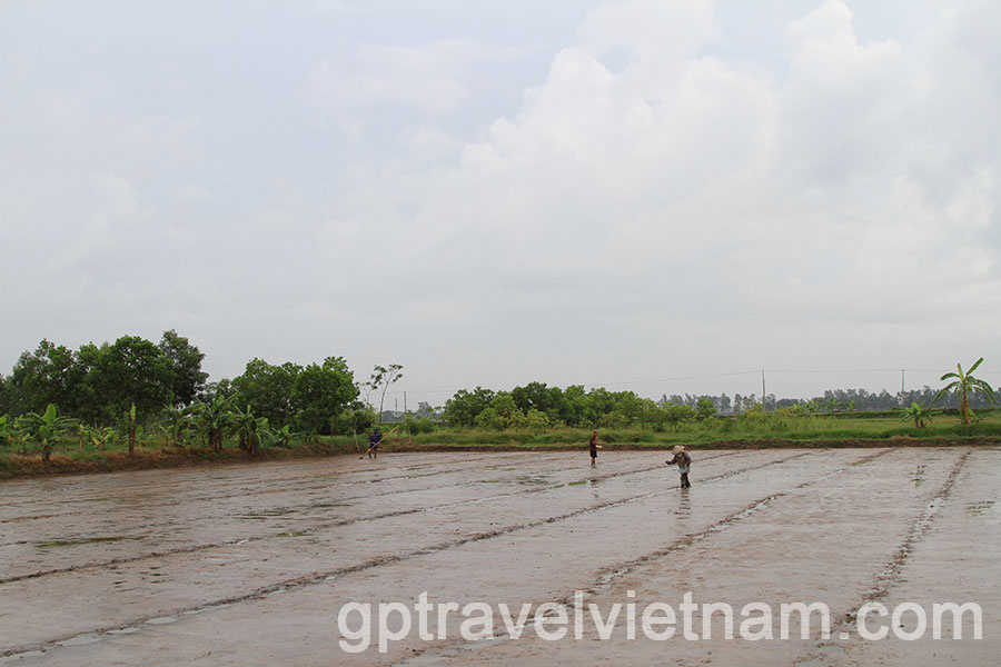  A Day Exploring Xuan Thuy National Park and Bach Long Salt Fields