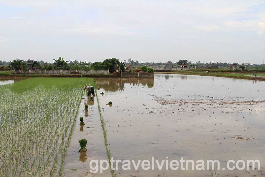 A Day Exploring Xuan Thuy National Park and Bach Long Salt Fields