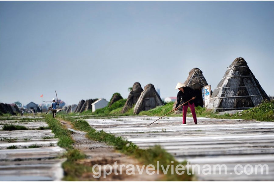  A Day Exploring Xuan Thuy National Park and Bach Long Salt Fields