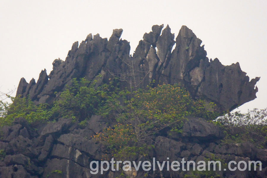 Baie d’Halong Terrestre: Hoa Lu, Trang An et Hang Mua