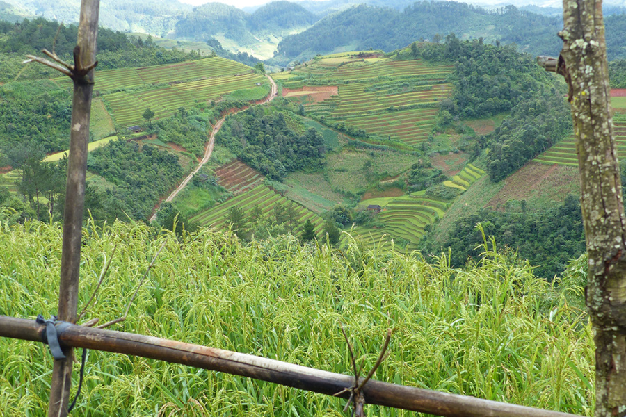 Au pays des Hmong, Hanhi, Dzao à Bat Xat et marché Muong Hum 