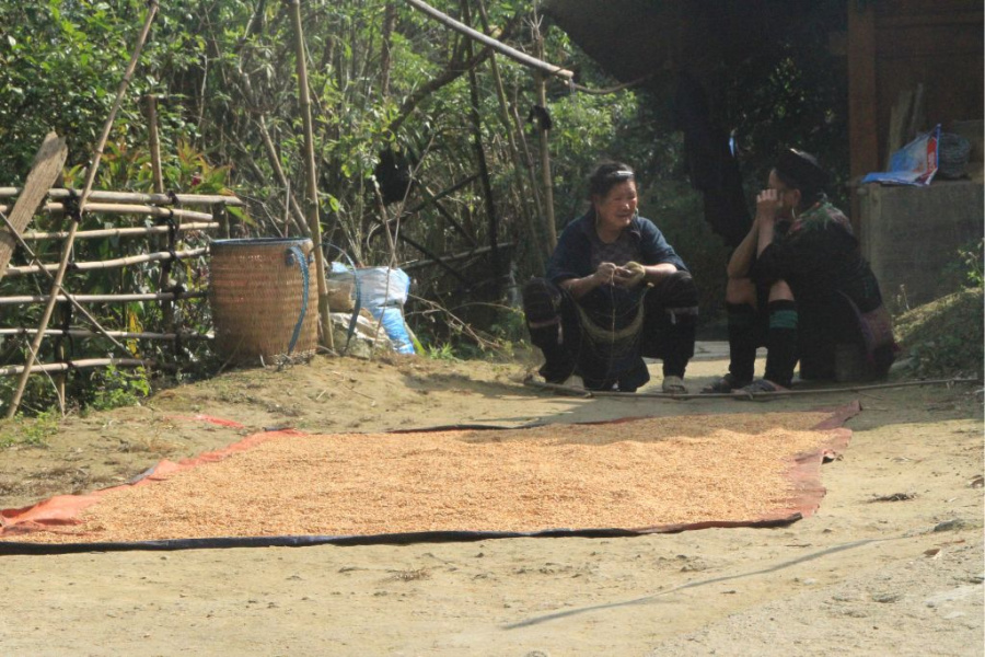 Conquête du mont Fansipan 2 jours 3 nuits