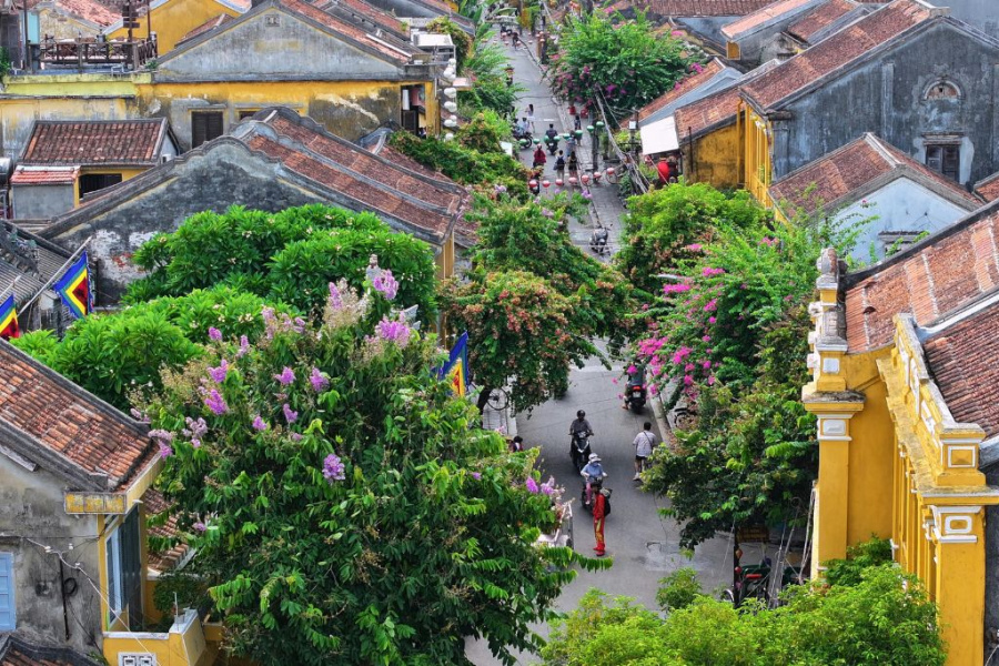 Anciens quartiers de Hoi An & vallée sacrée de My Son 