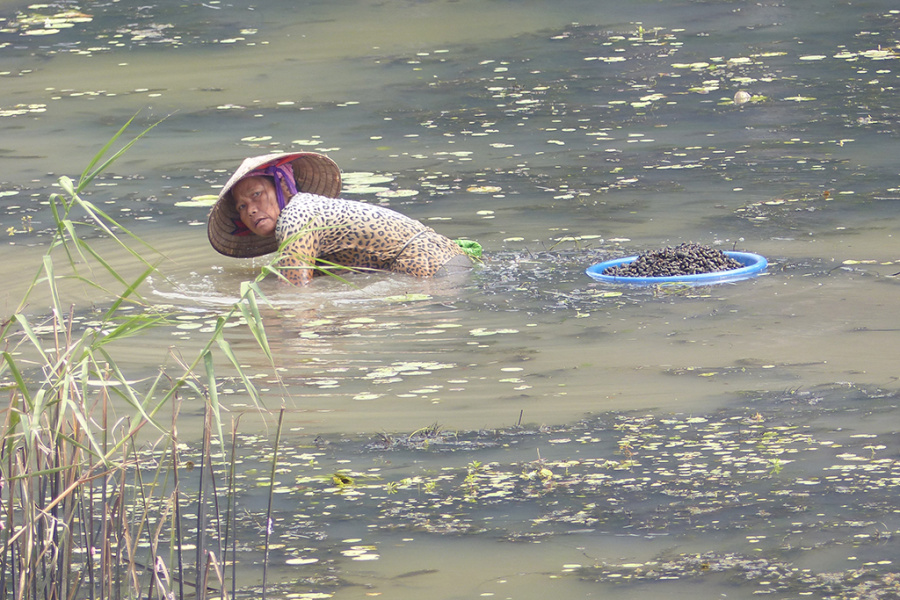Phat Diem Cathedral and Local Life in Ninh Binh