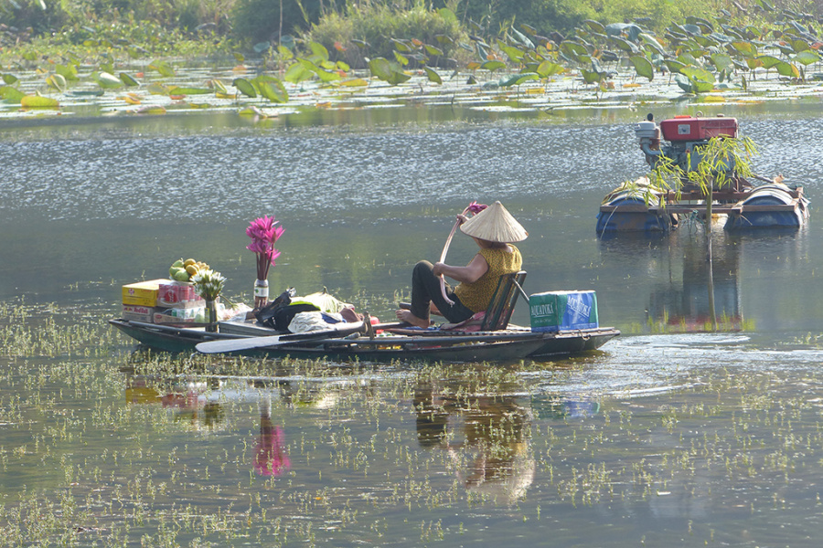 Hoa Lu et la belle région karstique de Tam Coc 