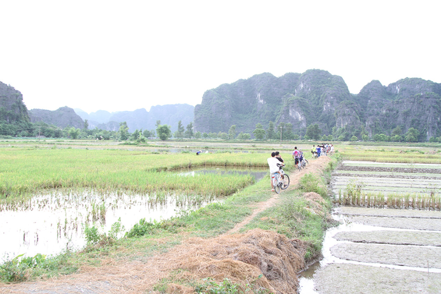 Journée à vélo à Tam Coc: Hang Mua, Vallée des oiseaux et excursion en sampan à Linh Coc