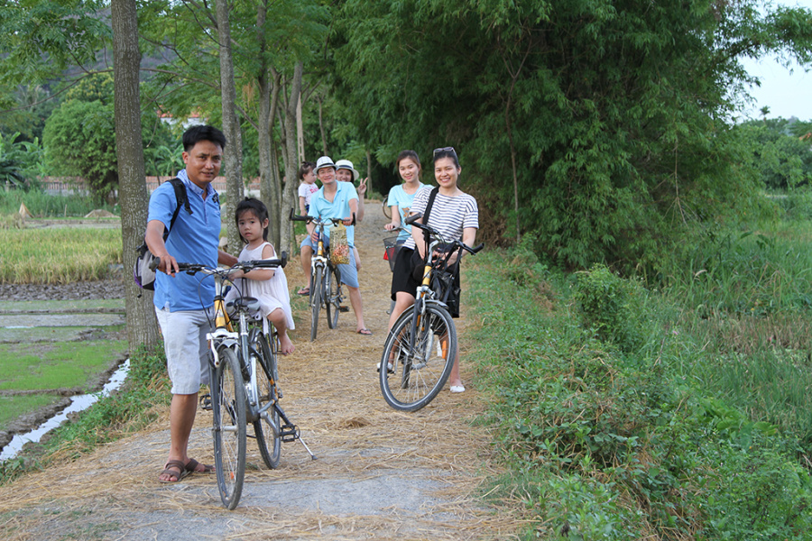 Mua Cave, Bird Valley, and a serene sampan excursion at Linh Coc.