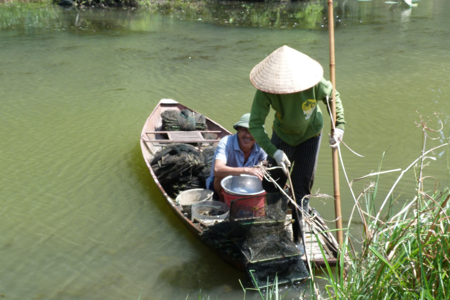 Mua Cave, Bird Valley, and a serene sampan excursion at Linh Coc.