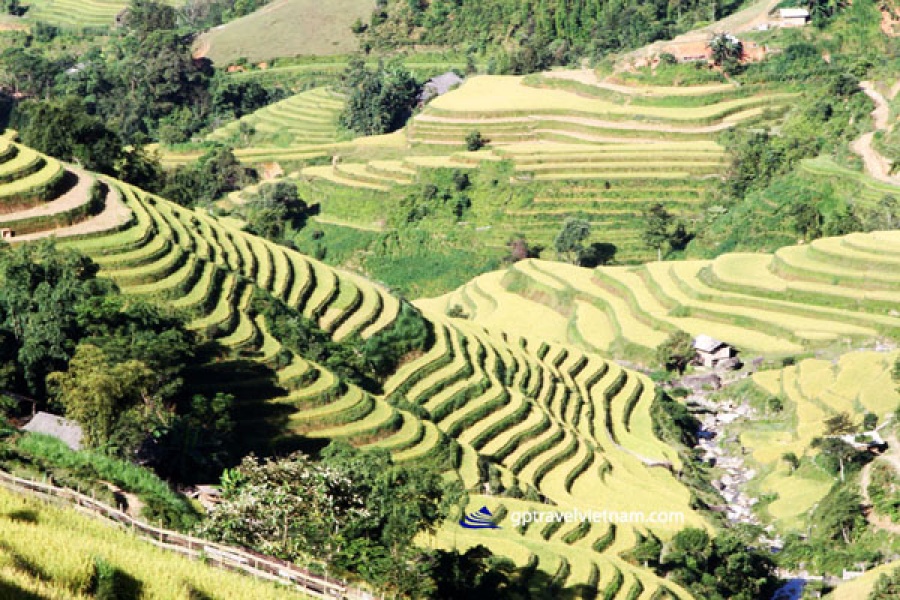 Trekking into the uncharted: Discovering Hoang Su Phi