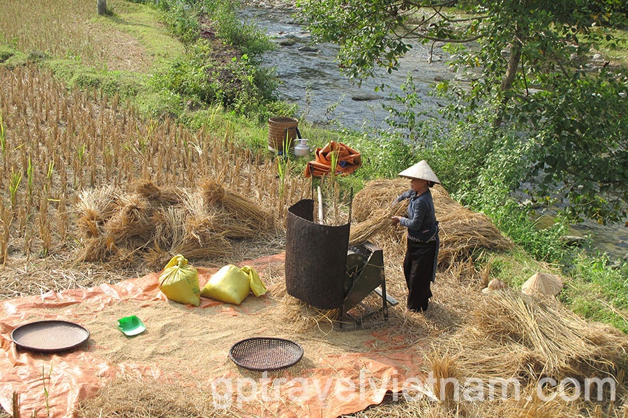 Trekking into the uncharted: Discovering Hoang Su Phi