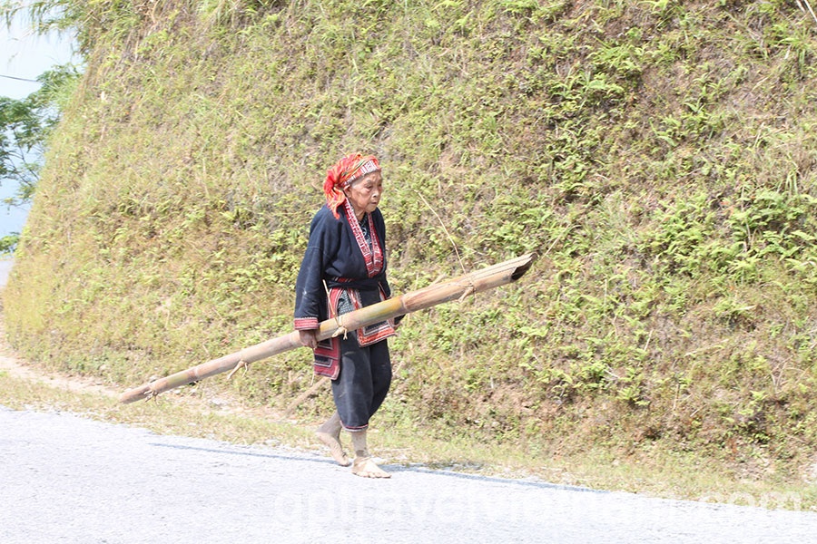 Trekking into the uncharted: Discovering Hoang Su Phi
