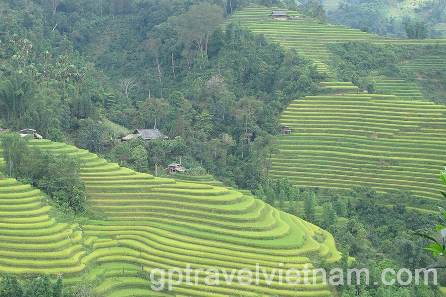 Trekking into the uncharted: Discovering Hoang Su Phi