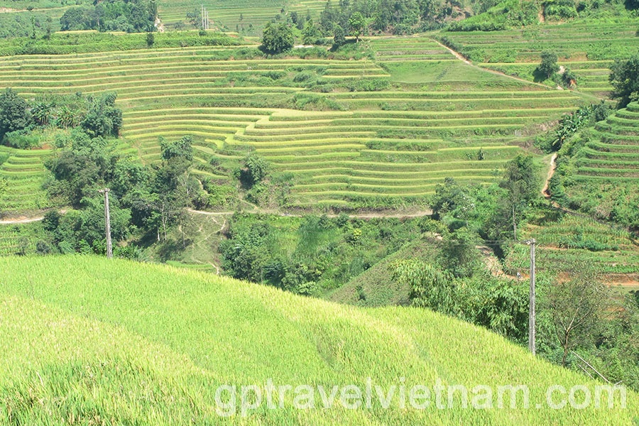 Trekking into the uncharted: Discovering Hoang Su Phi