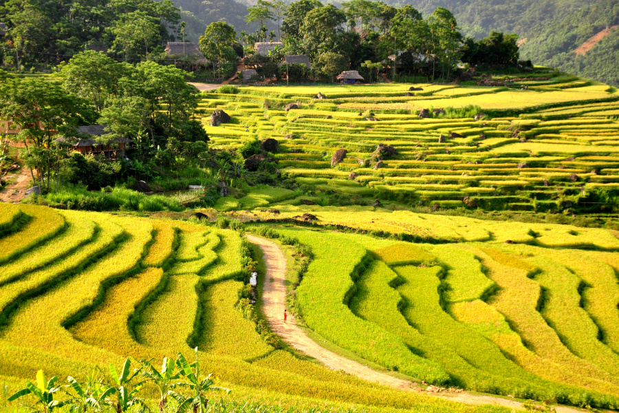 De la Baie de Lan Ha aux Pays des ethnies Muong, Thais blanc - 6 jours