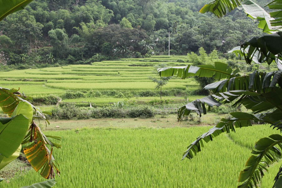  Da Bac and Pu Luong: Immersion in the culture of Muong - Dzao and Thai ethnic minorities