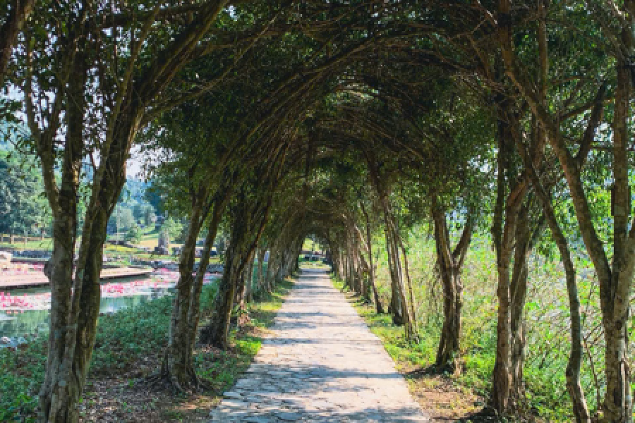 5-day Journey of Discovery: Hanoi - Ninh Binh - Ha Long Bay