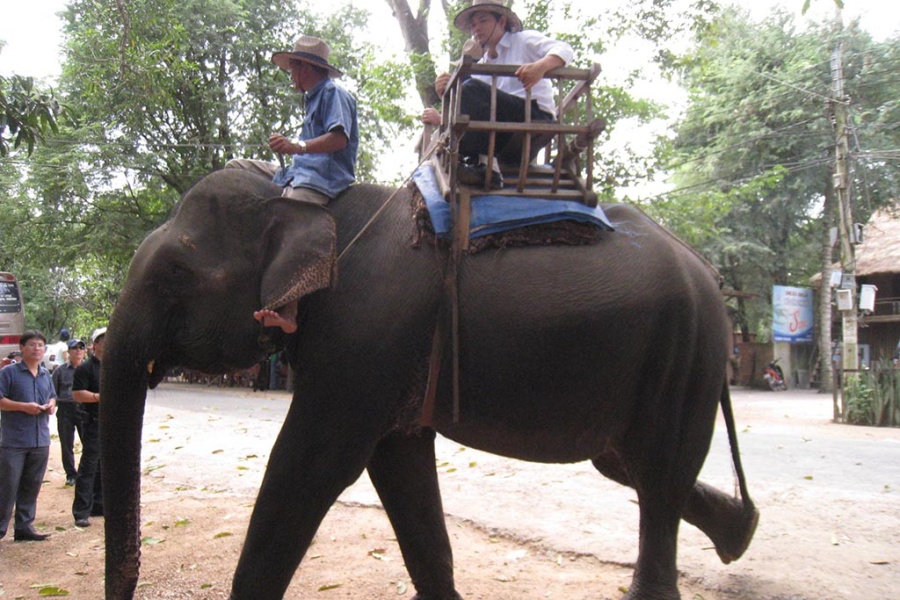 Vietnam Mosaic - 25 Days