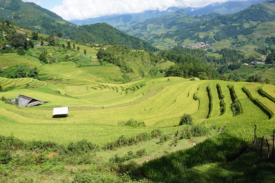 Vietnam Mosaic - 25 Days