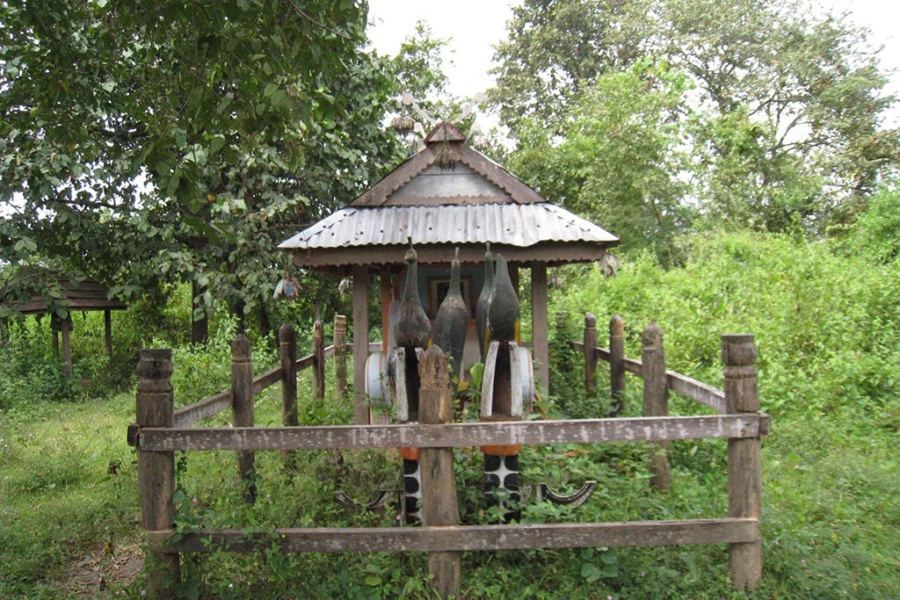 Vietnam Mosaic - 25 Days