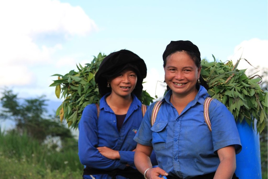 3 days trek in Bac Ha