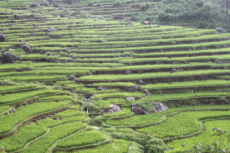 2 jours de randonnée facile à Pu Luong 
