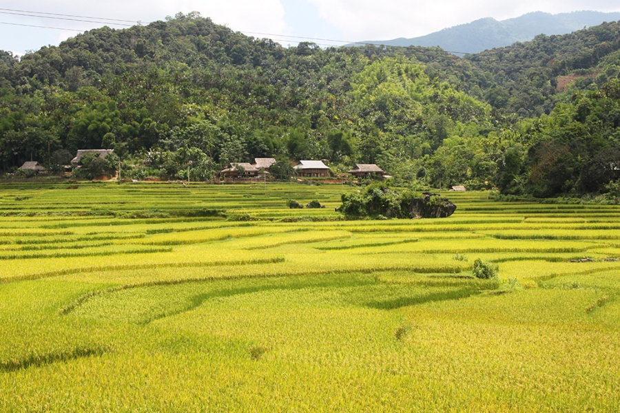 2 jours de randonnée facile à Pu Luong 