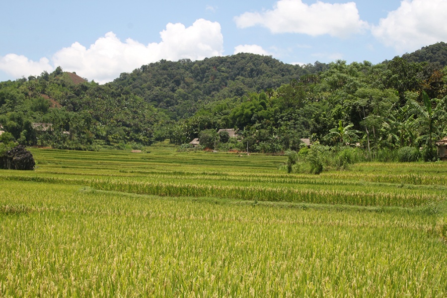 2 jours de randonnée facile à Pu Luong 