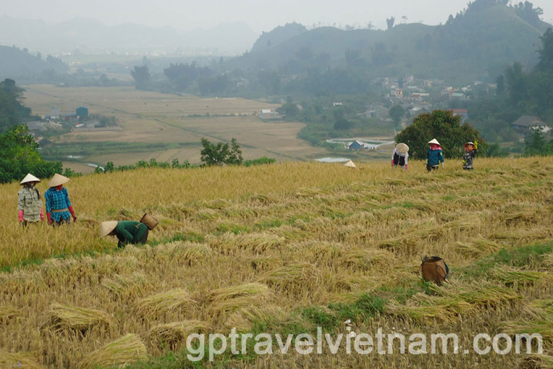 Vietnam-sept-octo-2013-267